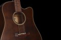 TAKAMINE-P1DC-SM.jpg