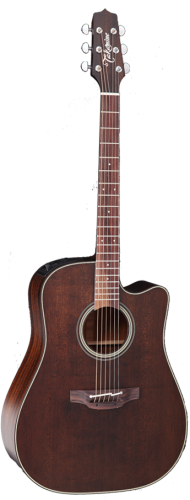 TAKAMINE-P1DC-SM.png