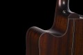 TAKAMINE-P1DC-SM-2.jpg