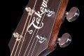 TAKAMINE-P1DC-SM-4.jpg