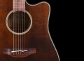 TAKAMINE-P1DC-SM-5.jpg