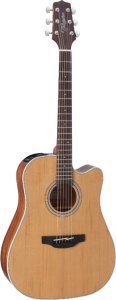 TAKAMINE GD20CE-NS