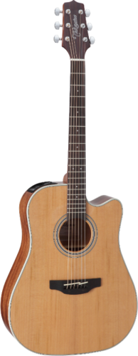 takamine_gd20ce-ns_pion.png