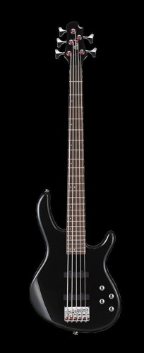 Action-Bass-V-Plus(BK).jpg