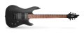cort kx100.jpg