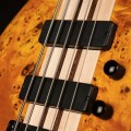 CORT A5 PLUS SC AOP 4.jpg