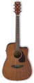 Ibanez PF12MHCE-OPN 1.png