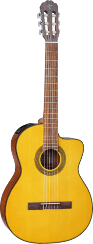 takamine_gc1ce_pion.png