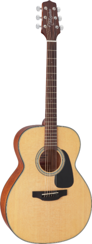 takamine_gn10ns_pion.png