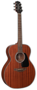 TAKAMINE GN11M-NS