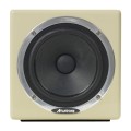 Avantone MixCube Active Creme Mono.png