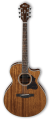 Ibanez AE245 NT.png