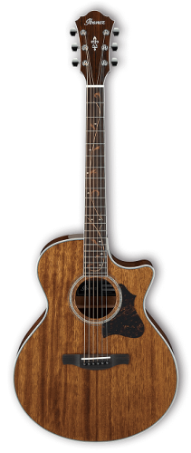 Ibanez AE245 NT.png
