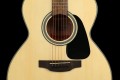 Gitara-akustyczna-TAKAMINE-GLN12E-NS-rozeta.jpg