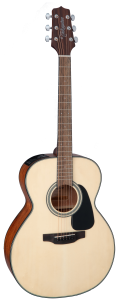 TAKAMINE GLN12E-NS