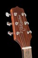 Gitara-akustyczna-TAKAMINE-GLN11E-NS-glowka.jpg