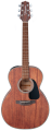 TAKAMINE-GLN11E-NS.png