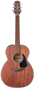 TAKAMINE GLN11E-NS