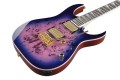 Ibanez GRG220PA RLB4.jpg