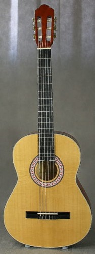 ines cg3 gitara.jpg
