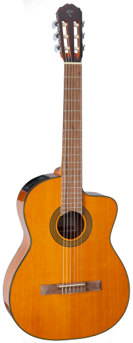 TAKAMINE-GC3CE-NAT.png