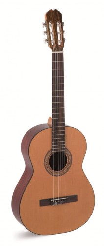 pol_pl_Alvaro-Guitars-No-20-Satin-gitara-klasyczna-7487_1.jpg