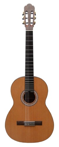 pol_pl_Prodipe-Guitars-Primera-1-2-gitara-klasyczna-6505_1.jpg