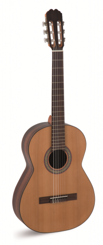pol_pl_Alvaro-Guitars-No-70-gitara-klasyczna-6228_1.png