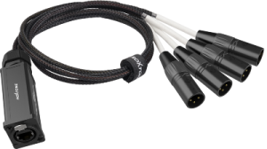 Roxtone PS4M - Konwerter adapter DMX męski na RJ45 żeński 