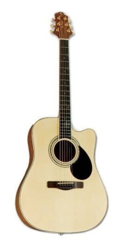 pol_pl_Samick-GD-100SC-NS-gitara-akustyczna-5379_2.jpg