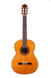 Martinez MC-88C (Cedr) 4/4 z pokrowcem M20mm